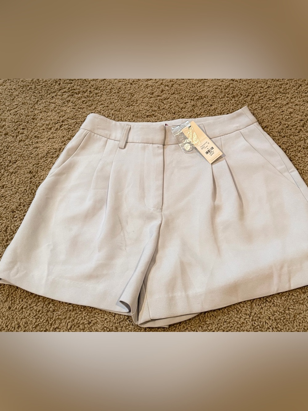 Francesca's Collections Light Blue/Gray High-Waist Pleated Shorts